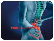 Low back pain and spinal disorders